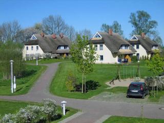Komfortables Reetdachferienhaus Hasel 1 - Puddemin - 7