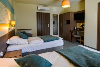 Hotel Brzozówka - Busko-Zdrój - 1
