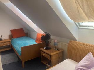 Alter Rhin - - 1