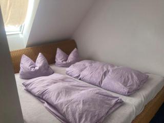 Alter Rhin - - 4