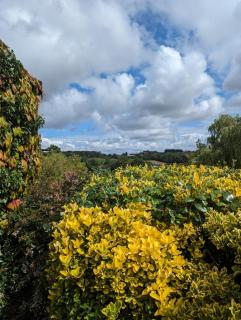 The Willoughby - Little Bytham - 3