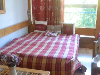 Charmant studio 4 pers, ambiance chalet, animaux admis - FR-1-411-267 - 1