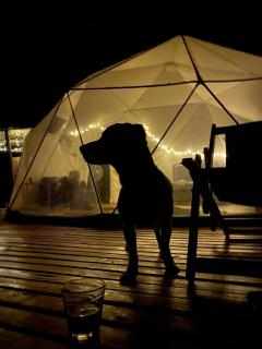 Domo Glamping Reserva Los Cucharos - La Vega - 8