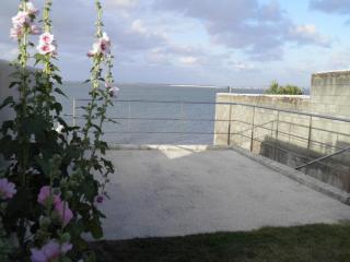 Accès océan sur grand terrain clos - 8