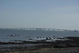 Accès océan sur grand terrain clos - 4