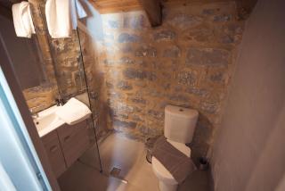 Monodendri Suites - 7