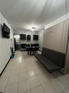 Mono corrientes - Santa Fe - 3