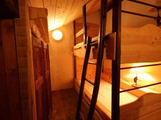 Triplex 7 pers à Vallandry proche pistes, animaux admis - FR-1-411-691 - Landry - 2