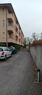 Teodoro - Pavia - 4
