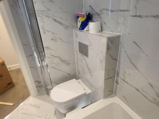 Entire Reigate Apartment hosted by Pius - Reigate - 4