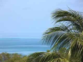 Sugarfields Sunset Apartment - Jolly Harbour - 7