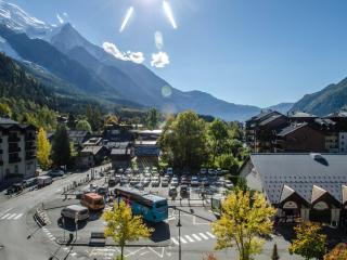 Joli appartement à Chamonix avec balcon, WiFi et animaux acceptés - FR-1-343-157 - Chamonix-Mont-Blanc - 7