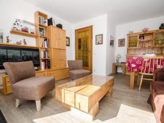 Appartement à Chamonix avec terrasse, parking, local à skis - FR-1-343-172 - Chamonix-Mont-Blanc - 5