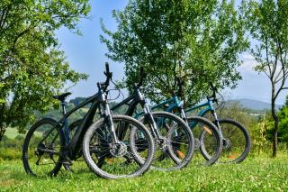 Wildernest Holiday Home - Rakovica - 9