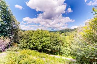 High Country Cottage - Newland - 8