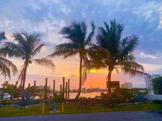 Tropical paradise! Walking distance to the beach! - Hollywood - 9