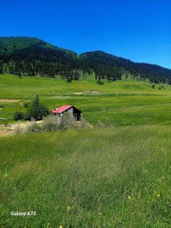 Lia's Guest house Tsvirmi - 0