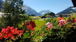 Haus Bergliebe Kleinwalsertal - Riezlern - 8