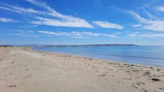 Apartamento La Marina - El Pinet - La Marina - 3