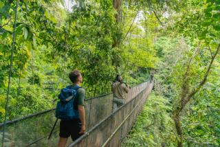 El Remanso Rainforest Lodge - 4