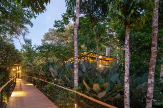 El Remanso Rainforest Lodge - Puerto Jiménez - 3
