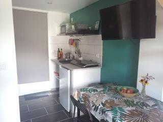 Petite maison avec jardin entre lac et village - Hourtin - 1