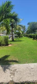 Studio la Verdure - Le Moule - 5