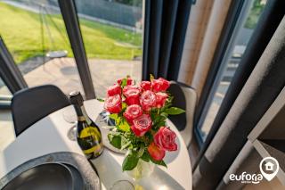 Euforia Górzno - nowoczesne domki nad jeziorem z sauną, balią, jacuzzi - Górzno - 7
