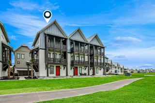 Spanish Dagger Serenity - 9