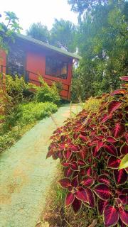 Casa de Montaña Tica Linda - 2