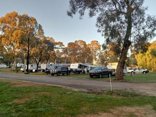 Wedderburn Caravan Park - Wedderburn - 2