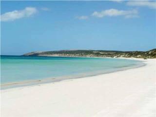 House of the Young - Emu Bay - 3