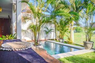 The Tranquil Traveller - Pererenan - Munggu - 3