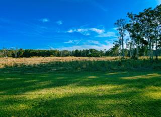 Island Palms Motor Inn - Forster - 7