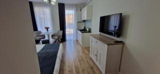 Studio Ema - Baia Mare - 8