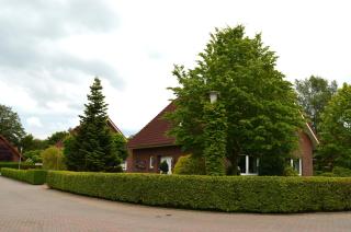Ferienhaus Nikki 35528 - Uplengen - 2