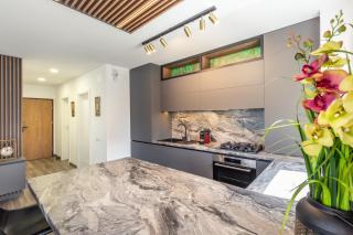 Urban Plaza Mountain View Luxury Retreat - Brasov - 4