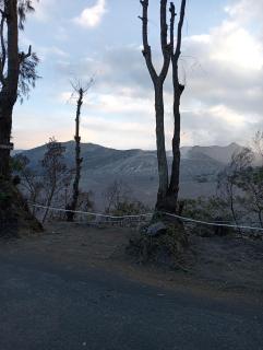 Mentigen Homestay - Ngadisari - 8