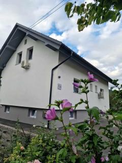 Aparthouse Jana Breg - Žirovnica - 9