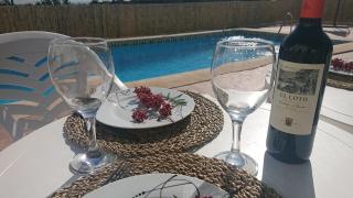 Gîte rural 100 % authentique (8 pers) avec piscine - Los Arenales - 8