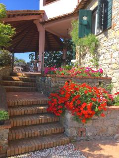 B&B Le Palme - Ameglia - 1
