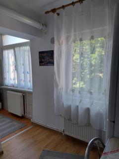 Fely Room - Petroşani - 7