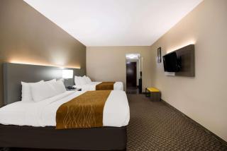 Comfort Inn & Suites Midway - Tallahassee West - Midway - 4