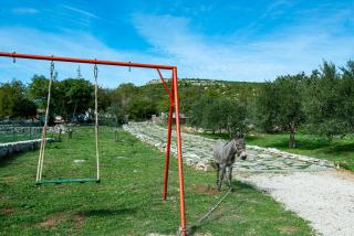 Dalmatian country house Irena - Bruška - 6
