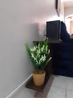 Apartamento com pátio e anexo exclusivo - 4