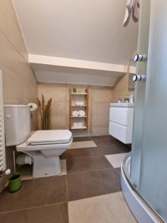 Sabina's Cozy House - Buşteni - 4