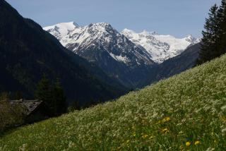 Pension Tina - Neustift im Stubaital - 1