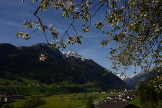 Pension Tina - Neustift im Stubaital - 9