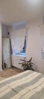 Anna's Guesthouse - Cluj-Napoca - 5