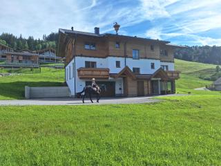 Appartementhaus zum Moserlhof - 1